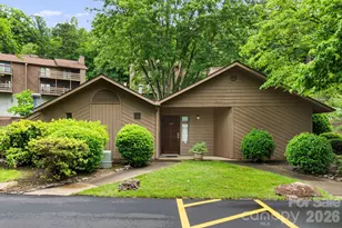 305 Piney Mountain Dr, Asheville, NC 28805 - Photo 30