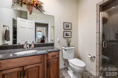 412 Granny Lewis Lane, Mars Hill, NC 28754 - Photo 20