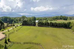 4647 Big Level Rd, Mill Spring, NC 28756 - Photo 46