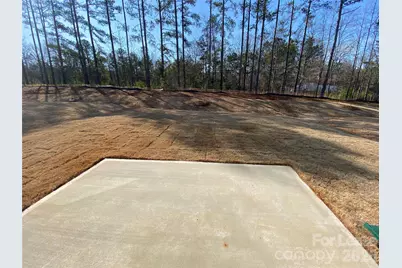 1016 Whipcord Drive, Waxhaw, NC 28173 - Photo 2