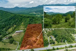 99999 US 70 Hwy, Swannanoa, NC 28778 - Photo 1