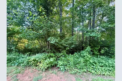 1227 Shirebourn None, Hickory, NC 28602 - Photo 46
