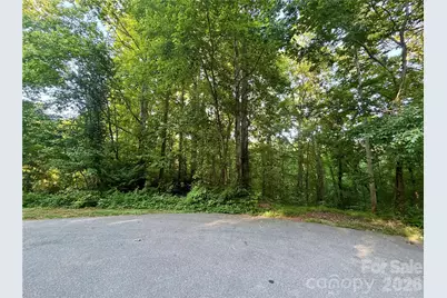 1227 Shirebourn None, Hickory, NC 28602 - Photo 46