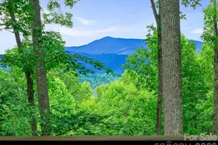 71 Chestnut Hill Rd, Spruce Pine, NC 28777 - Photo 34