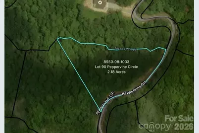 Lot 90 Peppervine Circle #90, Rosman, NC 28712 - Photo 1