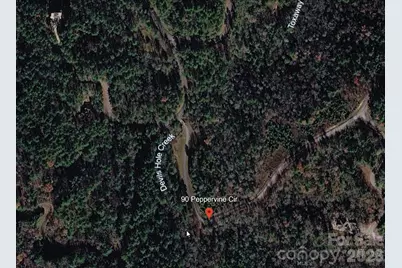 Lot 90 Peppervine Circle #90, Rosman, NC 28712 - Photo 2