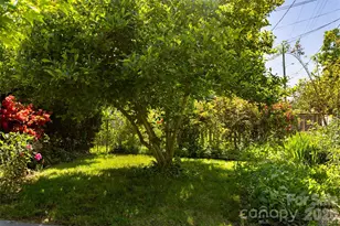 15 Walton St, Asheville, NC 28801 - Photo 10