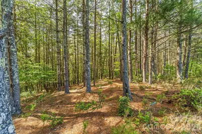 3345 Ella Marie Way #65, Nebo, NC 28761 - Photo 6