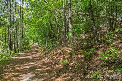 3345 Ella Marie Way #65, Nebo, NC 28761 - Photo 8