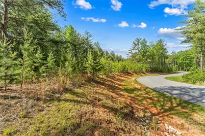 3345 Ella Marie Way #65, Nebo, NC 28761 - Photo 4