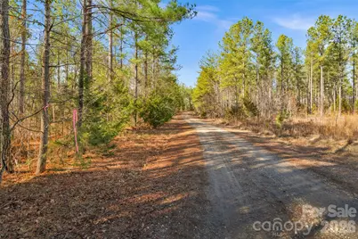 000 Peacehaven Road #4, McConnells, SC 29726 - Photo 6