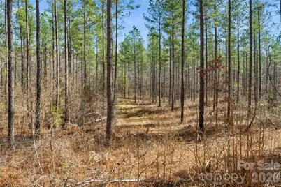 000 Peacehaven Road #4, McConnells, SC 29726 - Photo 8