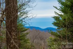 000 Hollybrook Dr, Flat Rock, NC 28731 - Photo 1