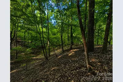 00-00 (9.99 Acres) Boone Gap Lane #Tract-2/BLOCK 1218, Taylorsville, NC 28681 - Photo 12