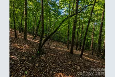 00-00 (9.99 Acres) Boone Gap Lane #Tract-2/BLOCK 1218, Taylorsville, NC 28681 - Photo 14