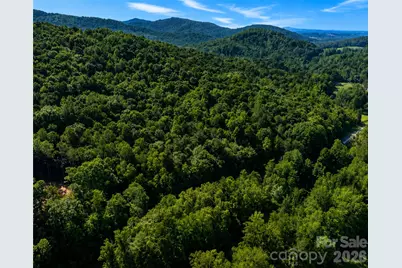 00-00 (9.99 Acres) Boone Gap Lane #Tract-2/BLOCK 1218, Taylorsville, NC 28681 - Photo 10