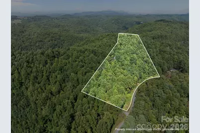 160 Little Mine Mountain Drive, Saluda, NC 28773 - Photo 38
