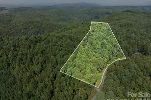 160 Little Mine Mountain Dr, Saluda, NC 28773 - Photo 38