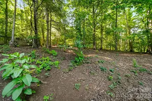 1006 Perkins Pl, Lenoir, NC 28645 - Photo 16
