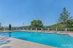 5 Split Creek Ct, Mills River, NC 28759 - Photo 44