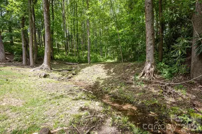113 Chancery Court, Flat Rock, NC 28731 - Photo 42