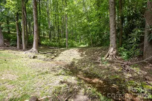113 Chancery Ct, Flat Rock, NC 28731 - Photo 42