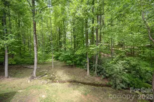 113 Chancery Ct, Flat Rock, NC 28731 - Photo 24