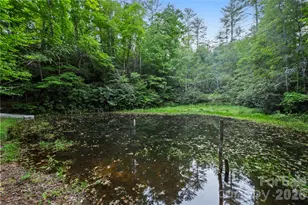 6029 Mulberry Church Rd, Lenoir, NC 28645 - Photo 12