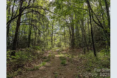 99999 Weldon Way, Fairview, NC 28730 - Photo 26
