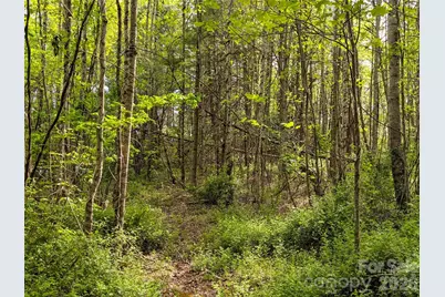 99999 Weldon Way, Fairview, NC 28730 - Photo 16