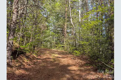 99999 Weldon Way, Fairview, NC 28730 - Photo 30