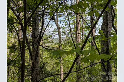 99999 Weldon Way, Fairview, NC 28730 - Photo 28