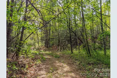 99999 Weldon Way, Fairview, NC 28730 - Photo 22