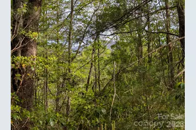99999 Weldon Way, Fairview, NC 28730 - Photo 10