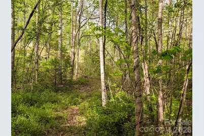 99999 Weldon Way, Fairview, NC 28730 - Photo 2