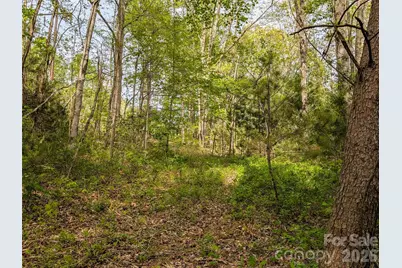 99999 Weldon Way, Fairview, NC 28730 - Photo 12