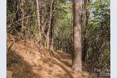 99999 Weldon Way, Fairview, NC 28730 - Photo 32