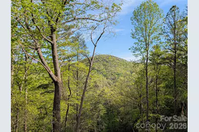 99999 Weldon Way, Fairview, NC 28730 - Photo 8