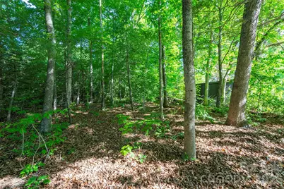 34 Goldmont Street, Black Mountain, NC 28711 - Photo 38