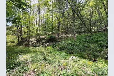 Tbd Spice Creek Road, Banner Elk, NC 28604 - Photo 6