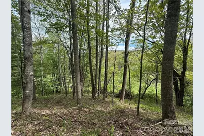 Tbd Spice Creek Road, Banner Elk, NC 28604 - Photo 8