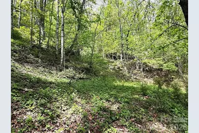 Tbd Spice Creek Road, Banner Elk, NC 28604 - Photo 12