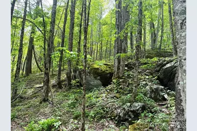 Tbd Spice Creek Road, Banner Elk, NC 28604 - Photo 10