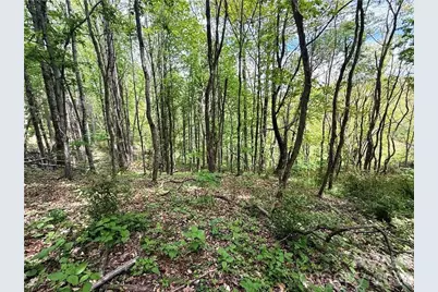 Tbd Spice Creek Road, Banner Elk, NC 28604 - Photo 16