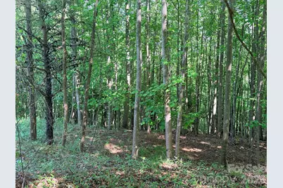 Lot 8 High Rock Ridge, Lake Lure, NC 28746 - Photo 10