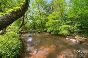 4316 Grandin Rd, Lenoir, NC 28645 - Photo 40