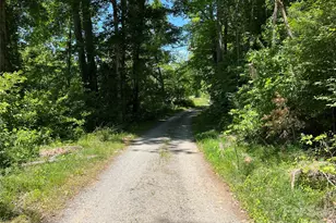 183 Cedarberry Gln, Rutherfordton, NC 28139 - Photo 28