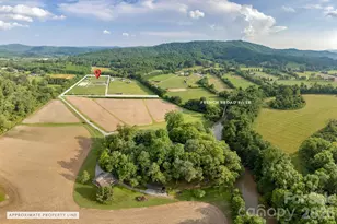 261 & 277 Bent River Farm Rd, Pisgah Forest, NC 28768 - Photo 48