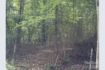 59 Ac Lancaster Hwy Highway, Chester, SC 29706 - Photo 14