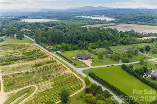 23 Benton Farms Ln, Horse Shoe, NC 28742 - Photo 44